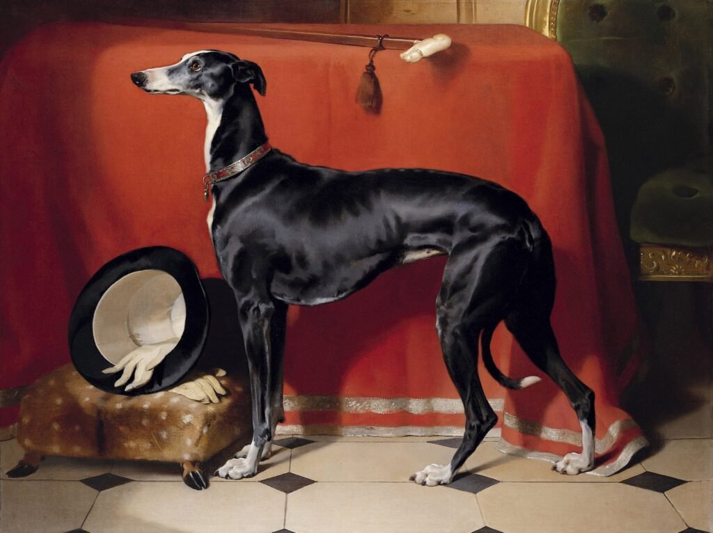 Why the Georgians and Victorians had their dogs painted