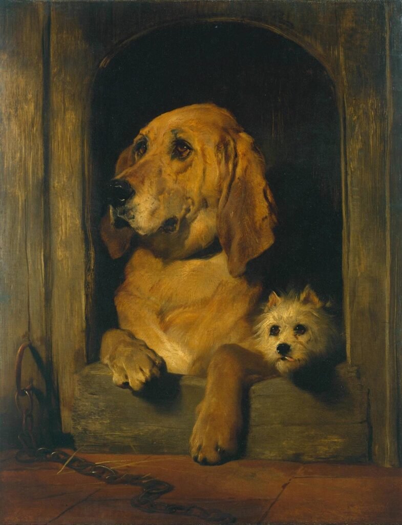 Dogs and cats who got the full portrait treatment